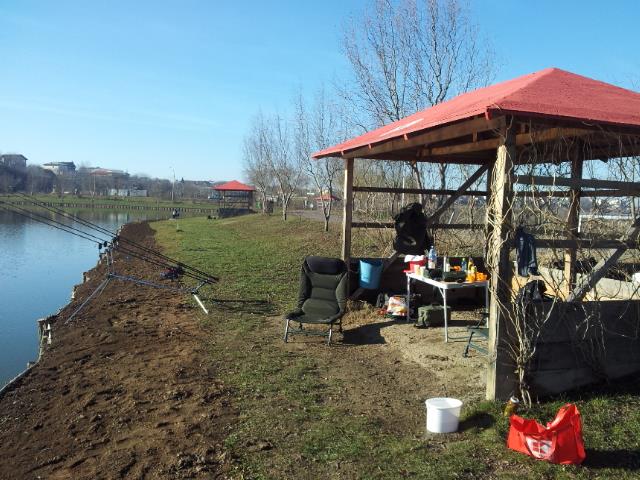 Floarea Popestiului 11 - 11 ian. - 20140111113040.jpg